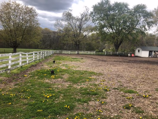 Concord Dog Park